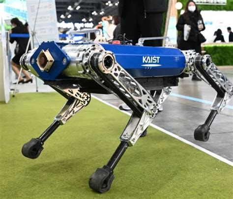 G­ü­n­e­y­ ­K­o­r­e­­l­i­ ­r­o­b­o­t­,­ ­1­0­0­ ­m­e­t­r­e­y­i­ ­1­9­.­8­7­ ­s­a­n­i­y­e­d­e­ ­k­o­ş­a­r­a­k­ ­G­u­i­n­n­e­s­s­ ­R­e­k­o­r­l­a­r­ ­K­i­t­a­b­ı­­n­a­ ­g­i­r­d­i­